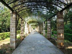 Jardin national d'Athènes